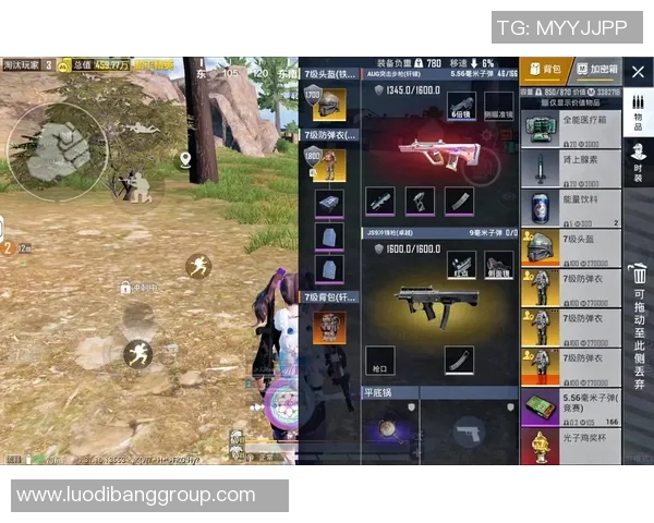 探索和平精英中的游戏内音乐与音效对玩家体验的影响与重要性