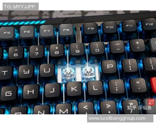 为Dota2选手量身打造的机械键盘与鼠标定制外设体验分享